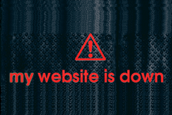 My website is down!